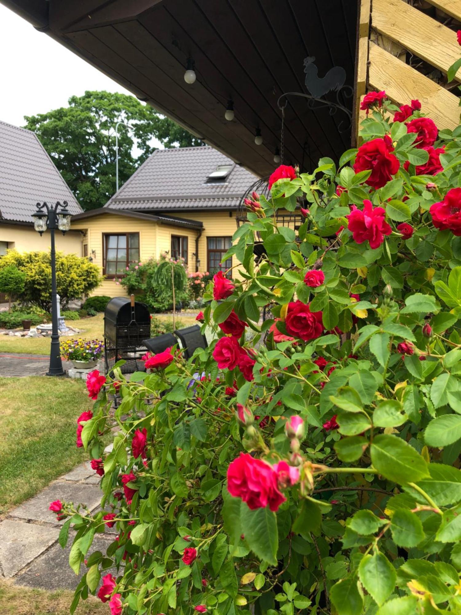 Anni Apartamento Ventspils Exterior foto