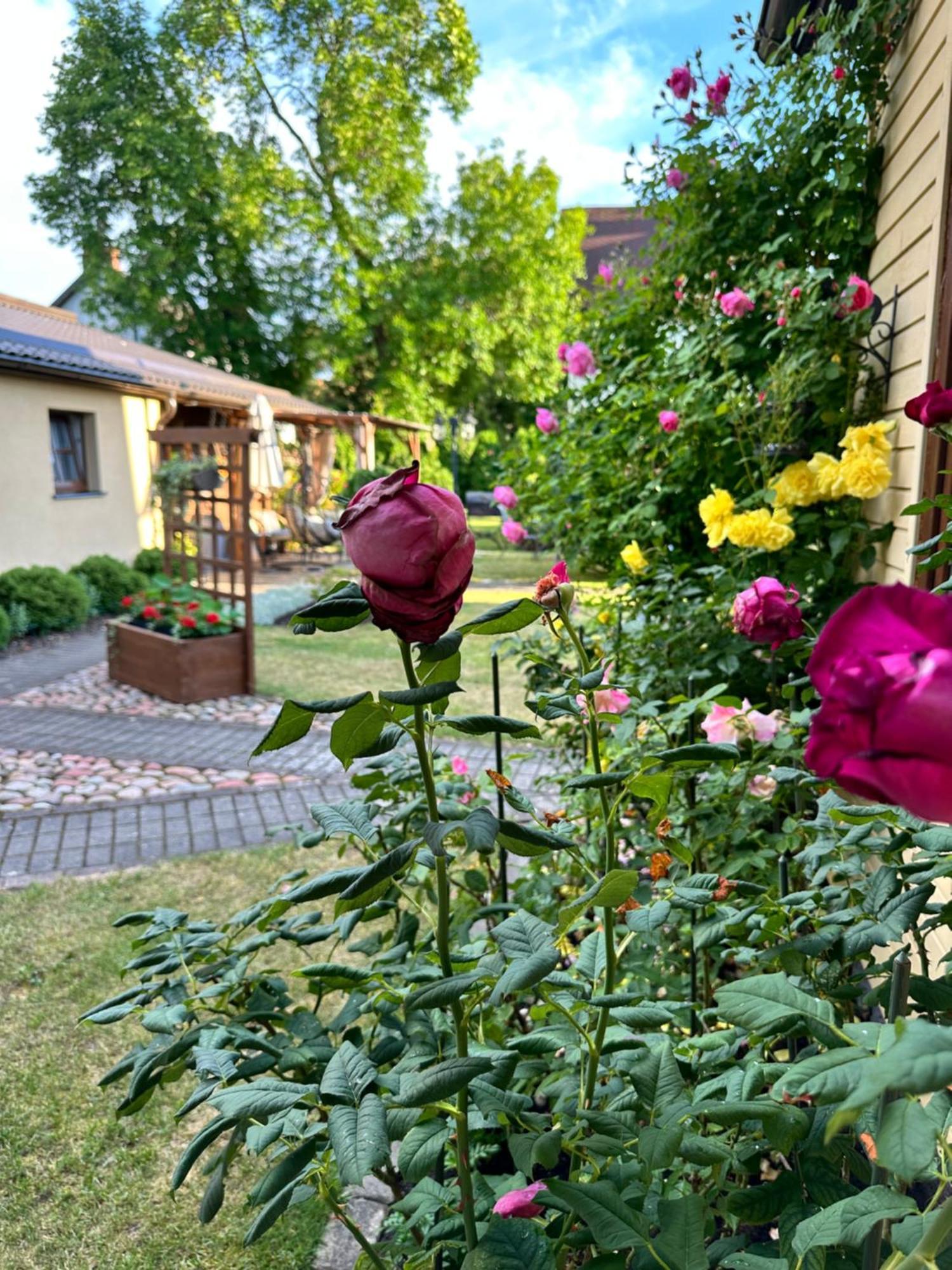 Anni Apartamento Ventspils Exterior foto